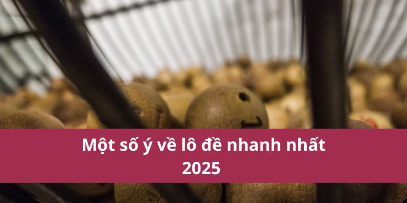 Một số ý về lô đề nhanh nhất 2025 