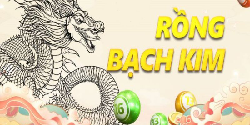 Bỏ túi những lưu ý khi chơi dàn đề rồng bạch kim