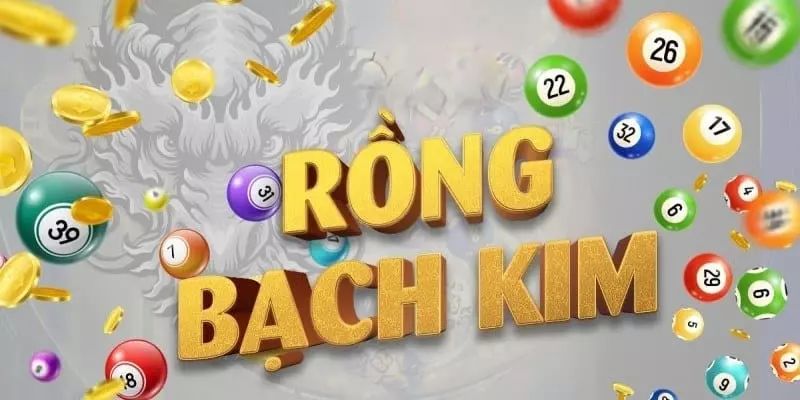 Các loại dàn đề phổ biến bạn nên biết